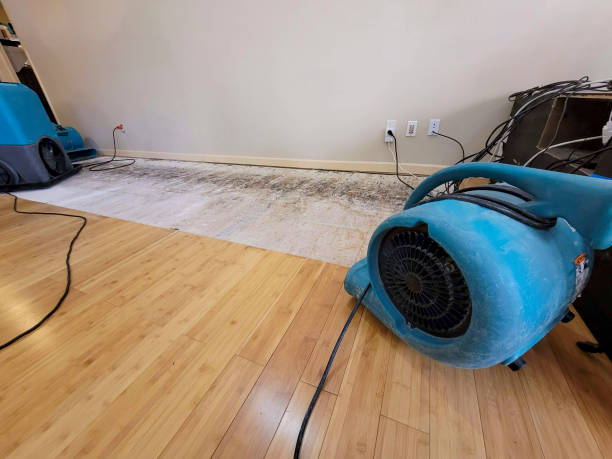 Professional Water Damage Repair technician working in New Mexico, NM